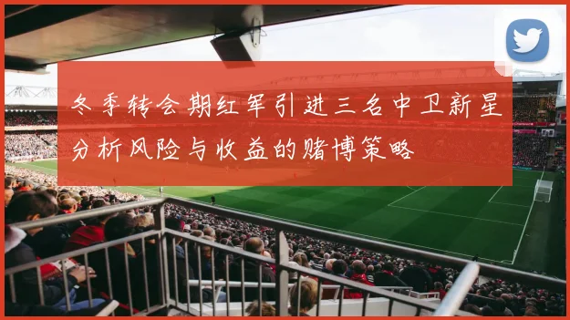 冬季转会期红军引进三名中卫新星分析风险与收益的赌博策略