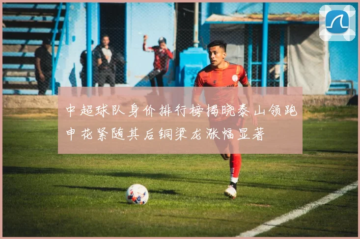 中超球队身价排行榜揭晓泰山领跑申花紧随其后铜梁龙涨幅显著